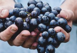 Avoid fads and stick to diet guidelines,’ say US heart experts