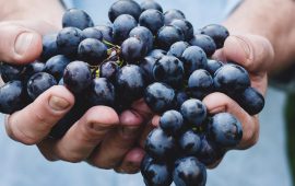 Avoid fads and stick to diet guidelines,’ say US heart experts