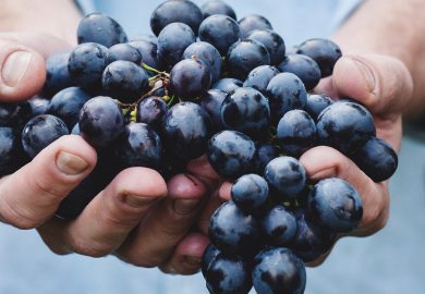 Avoid fads and stick to diet guidelines,’ say US heart experts