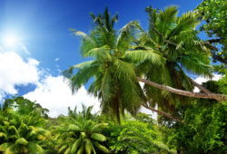 Best Travel Advice Comes from Here