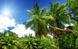 Best Travel Advice Comes from Here