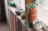 We could use a man like Hoover