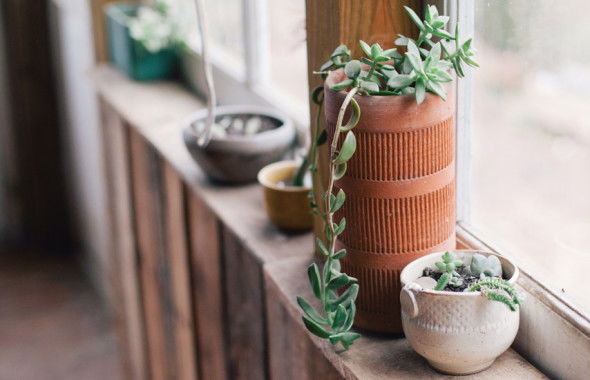 We could use a man like Hoover