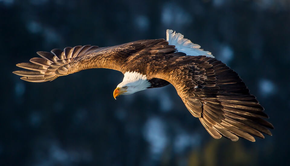 I never thought I could feel so free