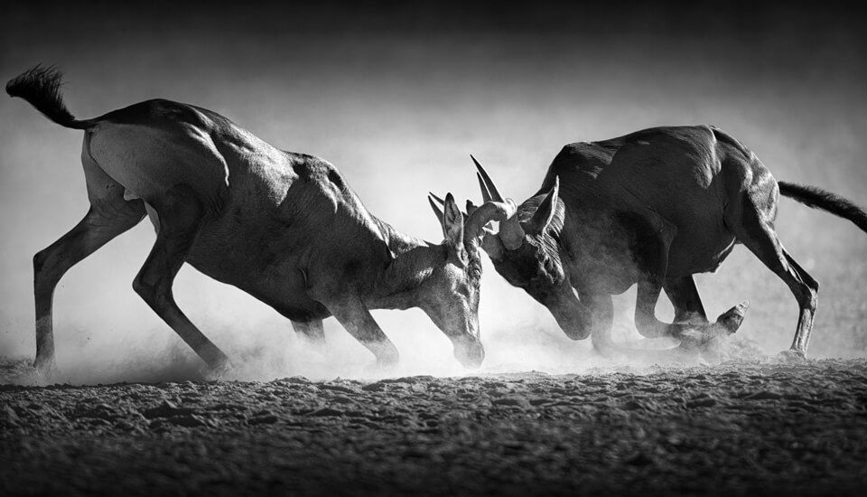 I never thought I could feel so free