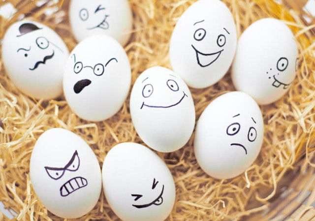 Juster Multipurpose Psd Template