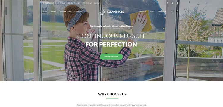 CleanMate - Cleaning Company Maid Gardening WordPress Theme