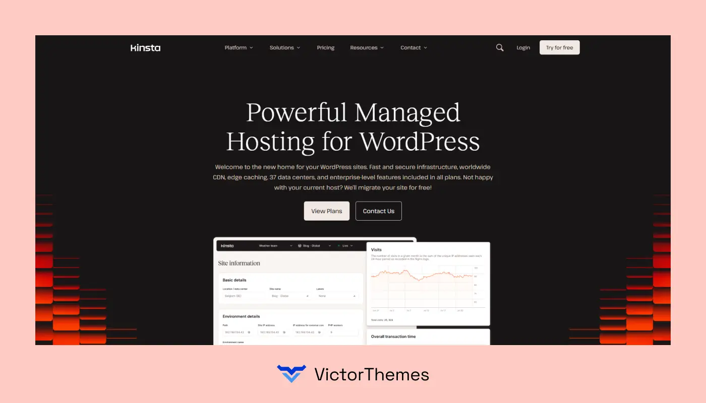 Kinsta WordPress Hosting Provider