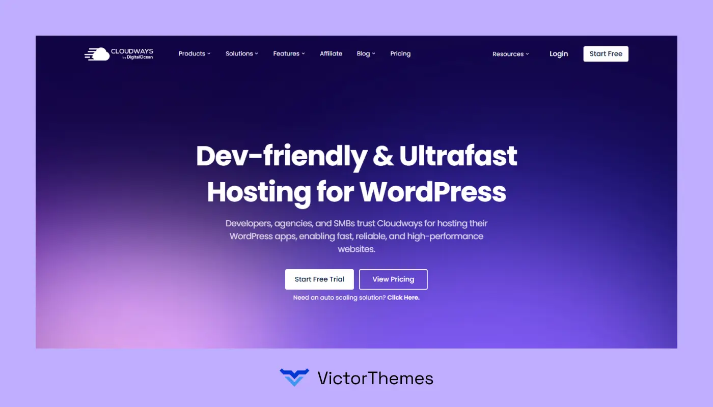 Cloudways WordPress Hosting Provider
